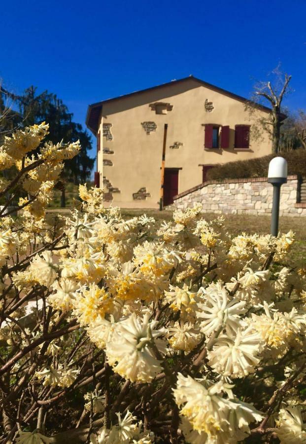 Отель Rosy25 San Michele  Экстерьер фото
